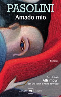 copertina del libro Amado mio di P. P. Pasolini, Garzanti
