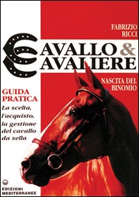Cavallo e cavaliere - Ricci Fabrizio - wuz.it