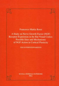 A study on nerve groth factor (NGF). Receptor expression in the rat visual cortex: possible sites and mechanism of NGF action in cortical plasticity - Rossi Francesco M. - wuz.it