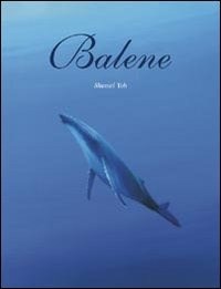 Balene - Yoh Shomei - wuz.it